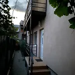Mircea Voda *
