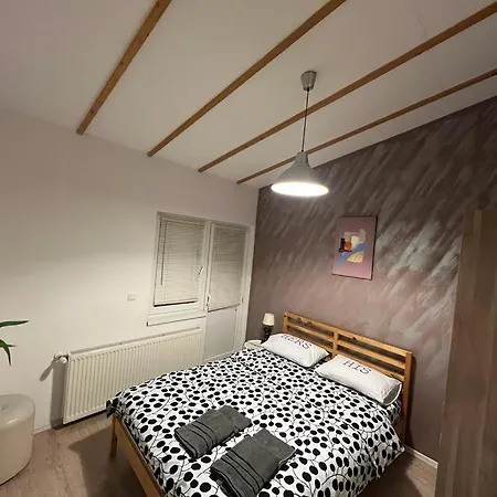 Mircea Voda * Craiova