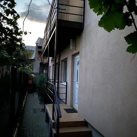 Mircea Voda *