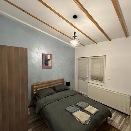 Villa Mircea Voda Craiova