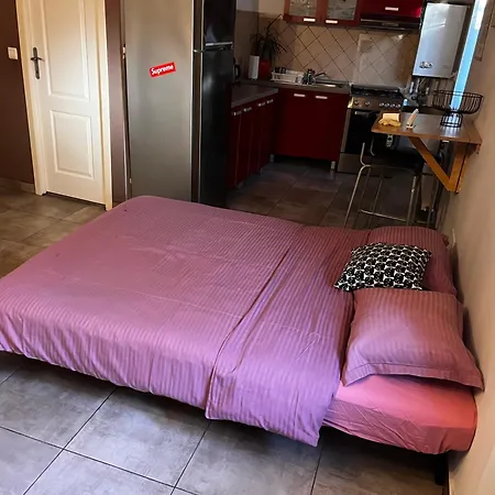 Mircea Vodă Vilă Craiova