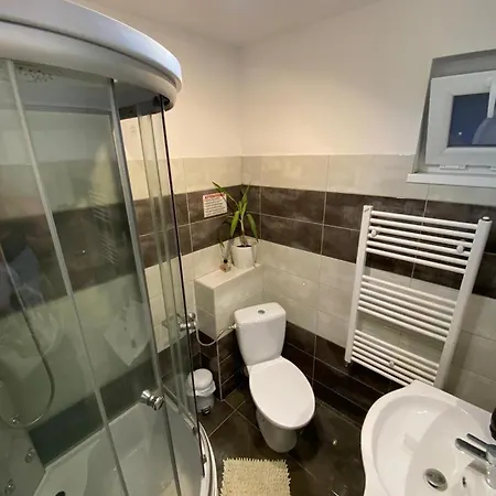 Villa Mircea Voda Craiova