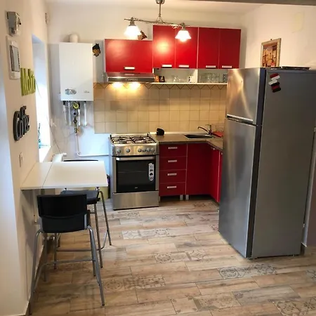 Mircea Voda * Craiova