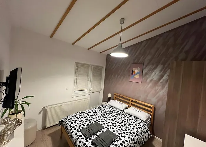 Mircea Voda * Craiova