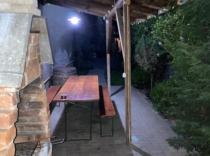 Villa Mircea Voda Craiova