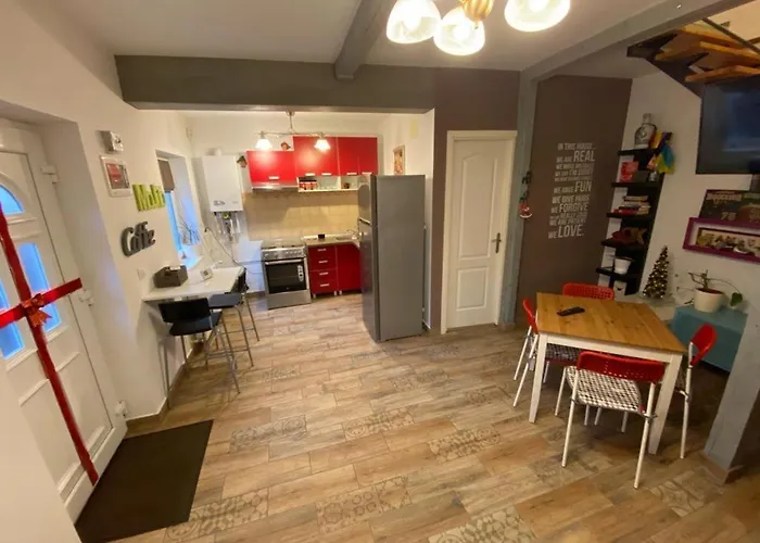 Mircea Voda * Craiova