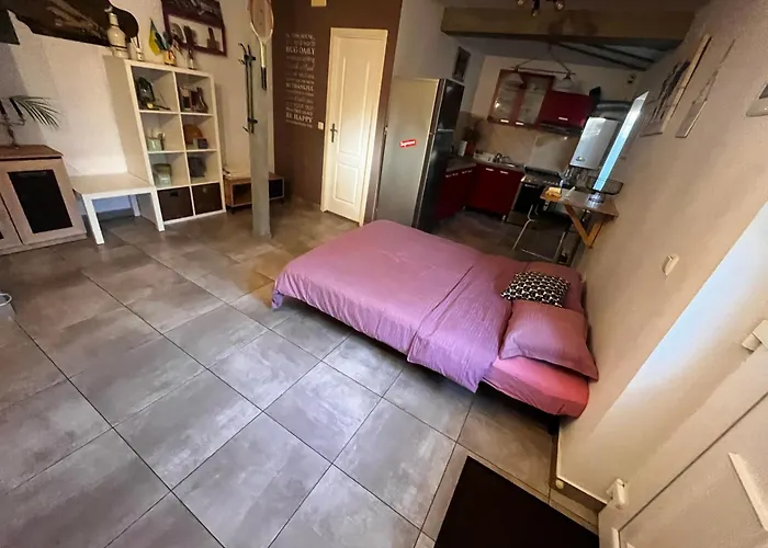 Mircea Voda Vila Craiova