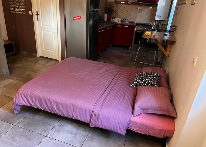 Mircea Voda Villa Craiova